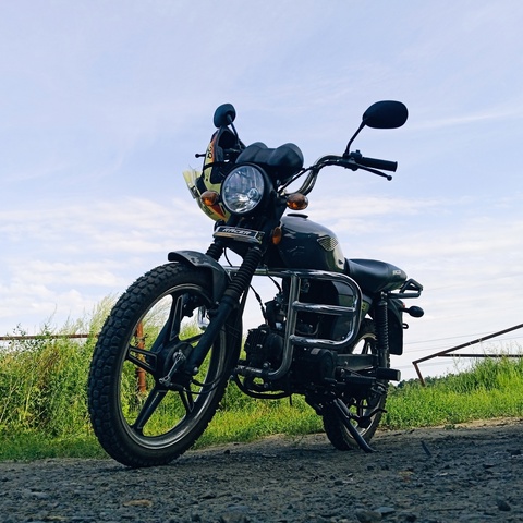 Дмитрий Янин