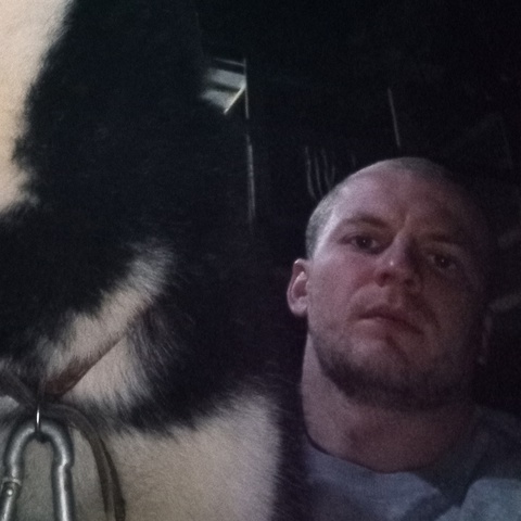 Андрей Богословский