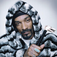 Snoop(1)