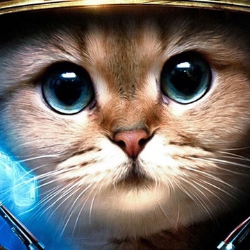 Дима Шпаковский