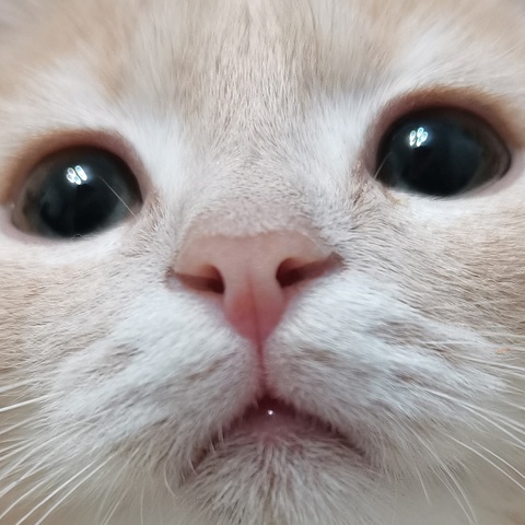 Динар Сафиуллин