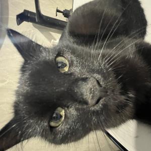 Архат Ашимбаев