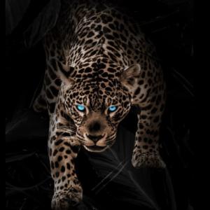 Нарек Карамян