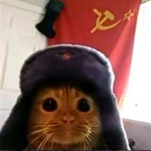 Чай