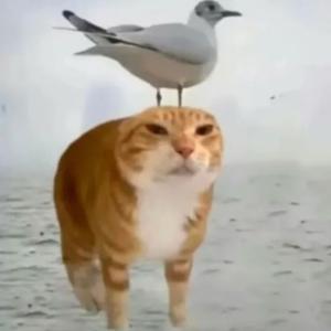 ляля