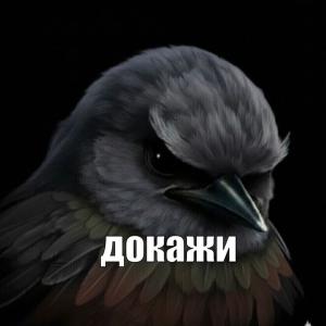 Арбуз Арбуз