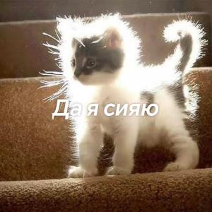 Lizochek